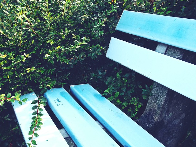 678体育官网平台